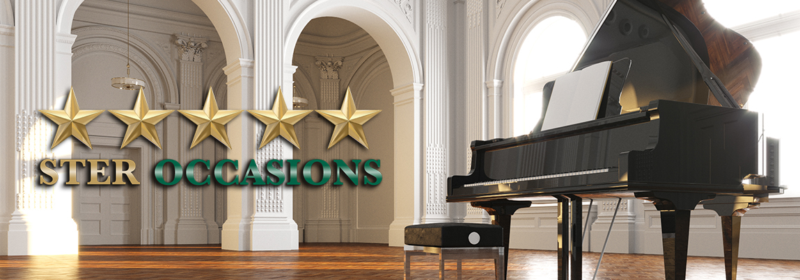 Homepage-Duitse-klawileit-piano-vleugels-occasions1